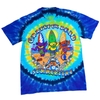 VINTAGE GREATFUL DEAD SUMMERTIME TSHIRT 2001 LIQUID BLUE