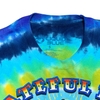 VINTAGE GREATFUL DEAD SUMMERTIME TSHIRT 2001 LIQUID BLUE