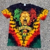 RASTAFARI TIEDYE TEE