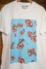 VANS TEE SHIRT
