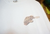 HARD ROCK LAS VEGAS TEE