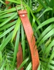 POLO RALP LAUREN LEATHER BELT