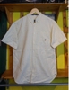 POLO RALPH LAUREN SHIRT