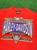 HARLEY DAVIDSON TEE