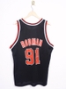 Vintage Champion Chicago Bulls 91 Rodman Jersey