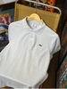 LACOSTE POLO SHIRT (LIGHT BLUE)