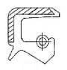 OIL SEAL NBR 28X43X7 TZ