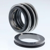 Mechanical Seal eMG1
