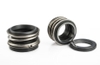 Mechanical Seal MG12-75/G6