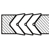 Rod seal C050