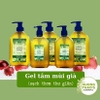 Gel tắm Organic Hương Thảo - sạch nhờn dưỡng ẩm thoáng da, hương Mùi già thư giãn 500 ml