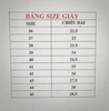 giay-bao-ho-lao-dong-the-thao-kingpro-z100