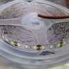 LED dây 12V 2835 120LEDMét có keo dán (5MCuộn)V