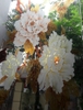 kinh-khac-ma-03