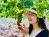 PHÚ YÊN – BÌNH ĐỊNH 5 ngày 4 đêm