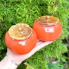 Hũ Đựng Trà Gốm Sứ Hình Quả Hồng 200ml GHA209 – Trang Trí & Lưu Trữ Tinh Tế