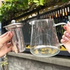 Bình Pha Trà Thủy Tinh Borosilicate 750ml – Kèm Lõi Lọc Inox 304, Chịu Nhiệt Từ -20°C Đến 150°C – GHA13