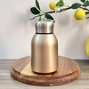 Bình Giữ Nhiệt Mini 300ml – Nhỏ Gọn, Tiện Mang Theo Mỗi Ngày