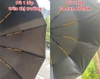 Dù Gấp Gọn Tự Động 24 Nan AVRNA – Vải 2 Lớp Dày, Chống UV 99%