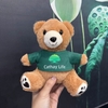 CT 647- GẤU BÔNG MẶC ÁO IN LOGO CATHAY