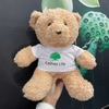 CT 401 - GỐI BÔNG GẤU TEDDY LÔNG XOẮN MẶC ÁO