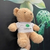CT 401 - GỐI BÔNG GẤU TEDDY LÔNG XOẮN MẶC ÁO