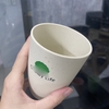 CT - 362 BỘ 3 LY LÚA MẠCH IN LOGO