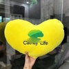 GỐI TRÁI TIM THÊU LOGO  - CT 99