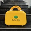 SET BỘ 3 VALI CHIBI 3 SIZE IN LOGO  - CT 181