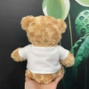 CT 401 - GỐI BÔNG GẤU TEDDY LÔNG XOẮN MẶC ÁO