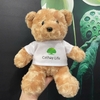 CT 401 - GỐI BÔNG GẤU TEDDY LÔNG XOẮN MẶC ÁO