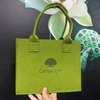 CT 405 - TÚI VẢI NỈ MÀU XANH IN LOGO