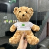 CT 426 - GỐI BÔNG GẤU TEDDY LÔNG XOẮN MẶC ÁO CỠ LỚN