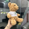 CT 426 - GỐI BÔNG GẤU TEDDY LÔNG XOẮN MẶC ÁO CỠ LỚN
