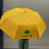 DÙ GẤP 3 MÀU VÀNG IN LOGO  - CT 11