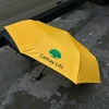 DÙ GẤP 3 MÀU VÀNG IN LOGO  - CT 11