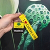 CT 427 - BỘ 2 MÓC KHÓA DÂY TREO IN LOGO