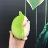 CT 428 - MÓC KHÓA GỐI BÔNG TRÁI BƠ NHỎ