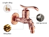 Vòi hồ tân cổ điển hình đầu Rồng - Nhà đại gia - Vòi nước mini Vòi xả lạnh