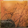 đĩa than Peggy Lee – Raindrops