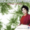 ĐĨA CD HOA CAU VƯỜN TRAU - TIẾNG HÁT THU HIỀN 2