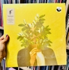 vinyl record FKJ  - FRENCH KIWI JUICE (2LP)