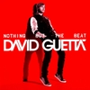 Đĩa than David Guetta – Nothing But The Beat (LIMITED EDITION/2LP/RED VINYL)