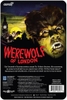 Universal Monsters - ReAction Figures - Werewolf of London (Large Item, Collectible, Figure, Action Figure)