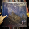 vinyl PHOEBE BRIDGERS - PUNISHER