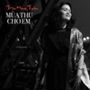 vinyl TRẦN MẠNH TUẤN - MÙA THU CHO EM
