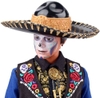Mattel - Barbie Collector Ken Dia De Muertos Doll 2022, Limited Edition (Large Item, Collectible, Limited Edition, Doll)