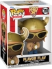 FUNKO POP! ROCKS: Flavor Flav (Vinyl Figure)