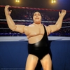 Super7 - Andre the Giant ULTIMATES! Figure - Black Singlet (Large Item, Collectible, Figure, Action Figure)