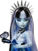 Mattel - Monster High 7 (Large Item, Doll)